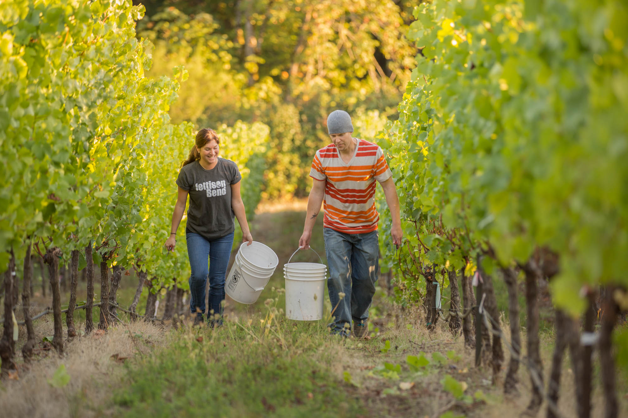 Two students picking grapes